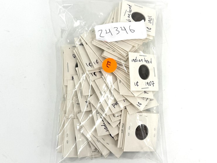 #24346-•-bag-of-indian-head-pennies-and-buffalo-nickles-image-7