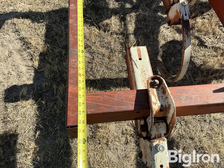 international-14-image-12