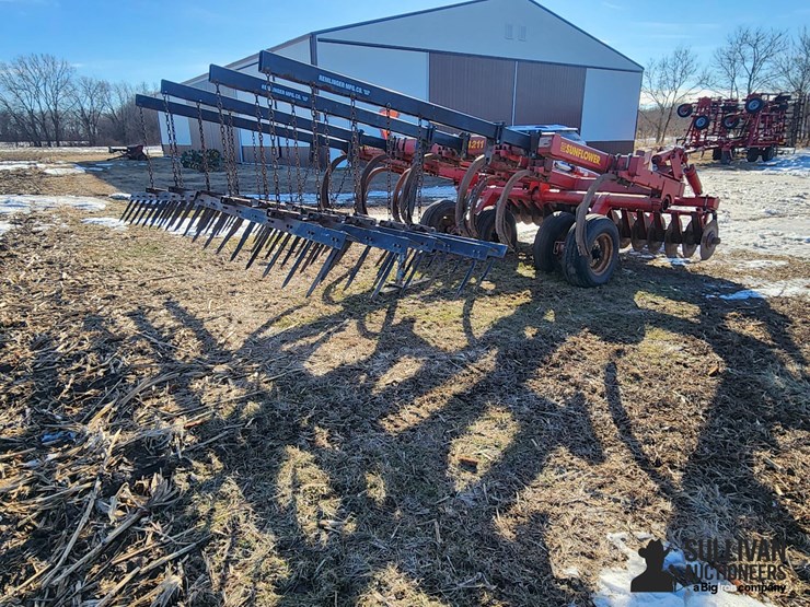 sunflower-4211-image-5