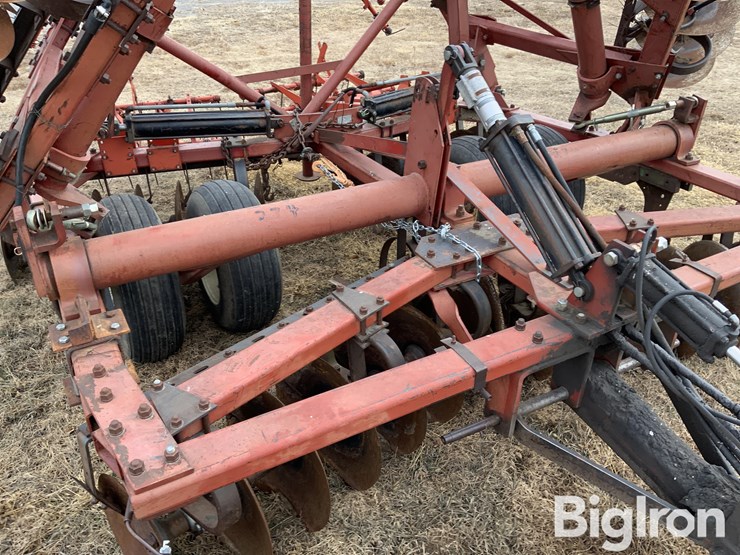 international-274-image-16