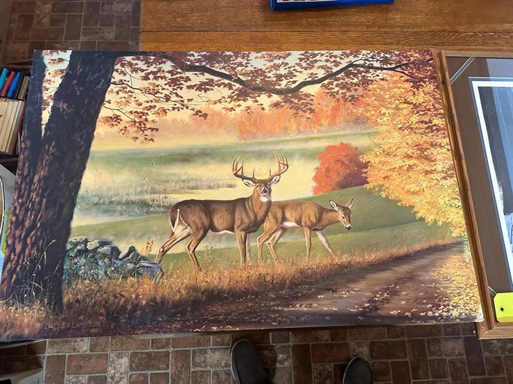 wildlife-pictures-image-3