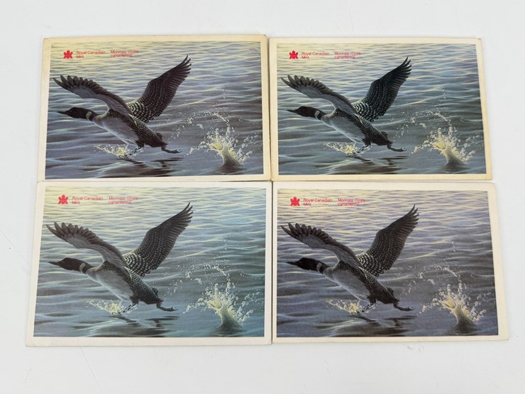 #32226-•-canadian-coin-sets-image-9