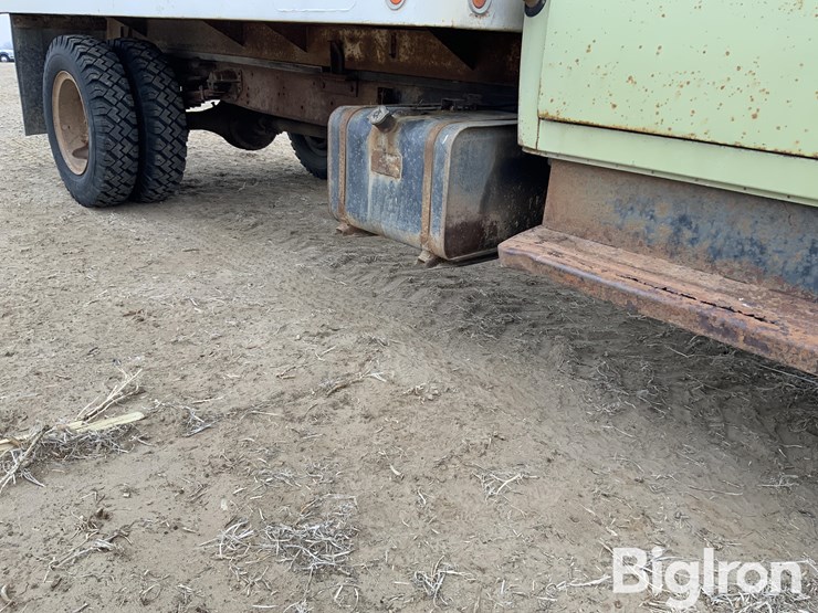 1975-international-loadstar-image-13