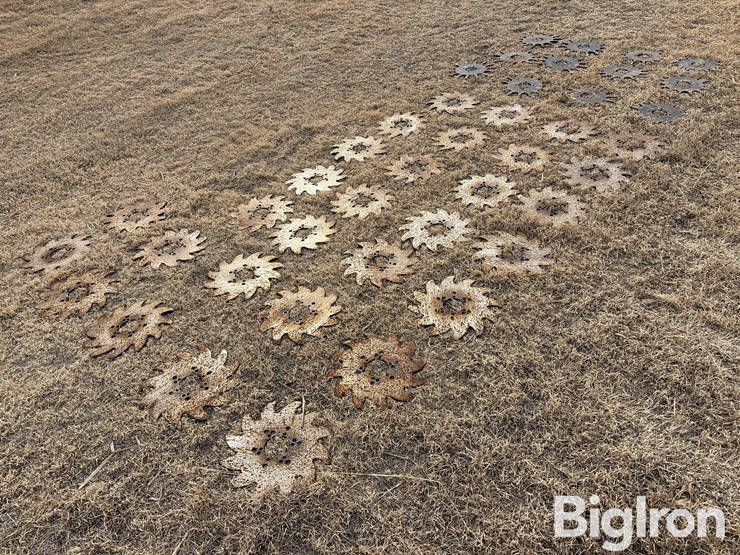 yetter-&-shark-tooth-opener-blades-image-5