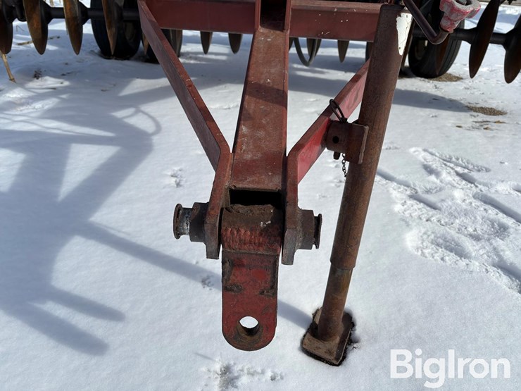 international-21-image-9