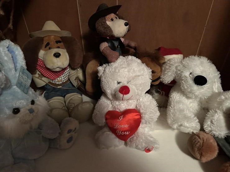 misc.-stuffed-animals-&-world-globe-image-4