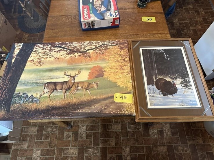 wildlife-pictures-image-2