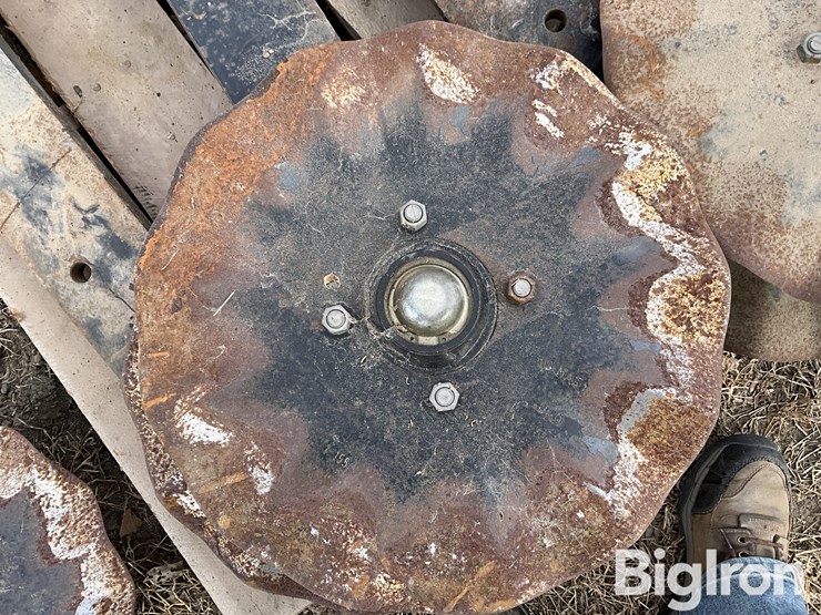 orthman-1tripr-image-13