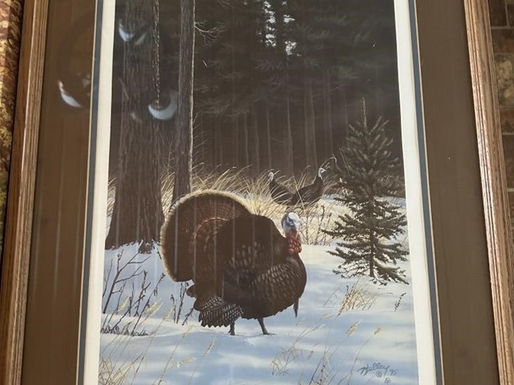 wildlife-pictures-image-6