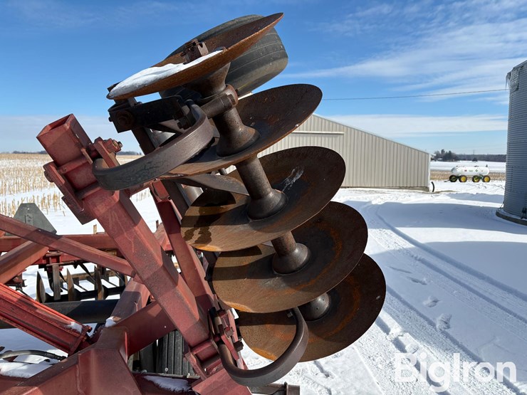 international-21-image-11