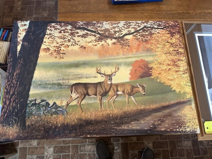 wildlife-pictures-image-4