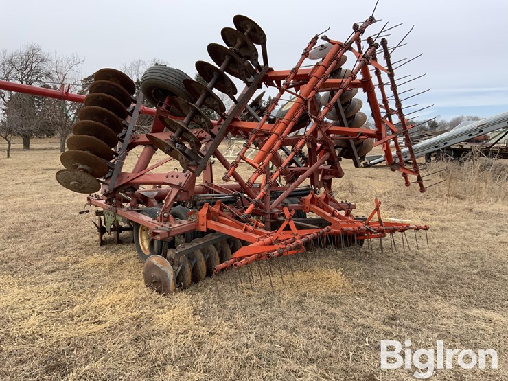 international-274-image-7