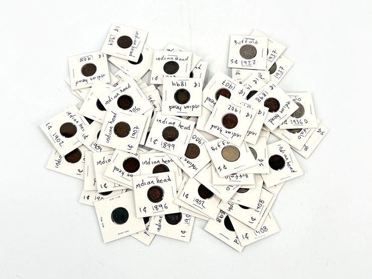 #24346-•-bag-of-indian-head-pennies-and-buffalo-nickles-image-1