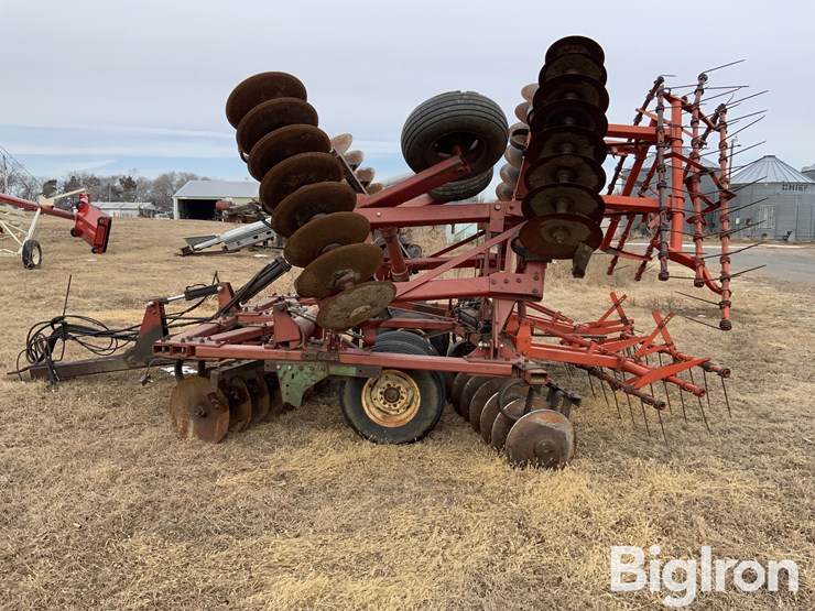 international-274-image-8