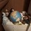 misc.-stuffed-animals-&-world-globe-image-1