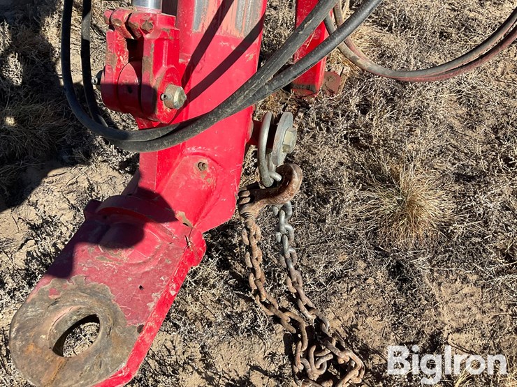 sunflower-9434-30-image-13