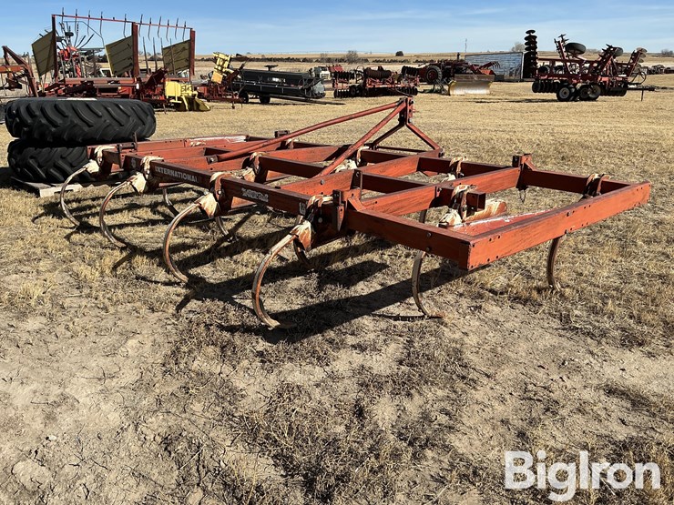 international-14-image-5