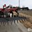 case-ih-870-ecolo-tiger-7-shank-disk-ripper-image-20