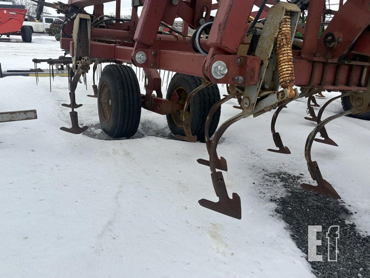 wil-rich-quad-5-image-5