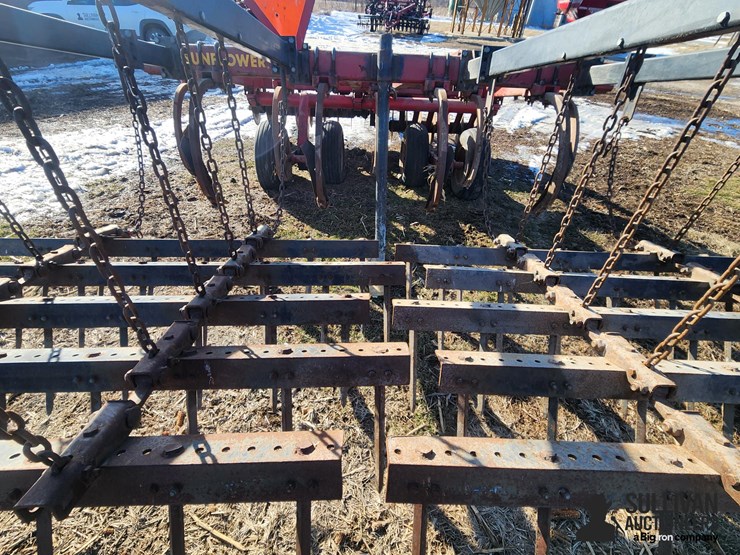 sunflower-4211-image-20