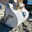 cat-54-in-excavator-tooth-bucket-image-6