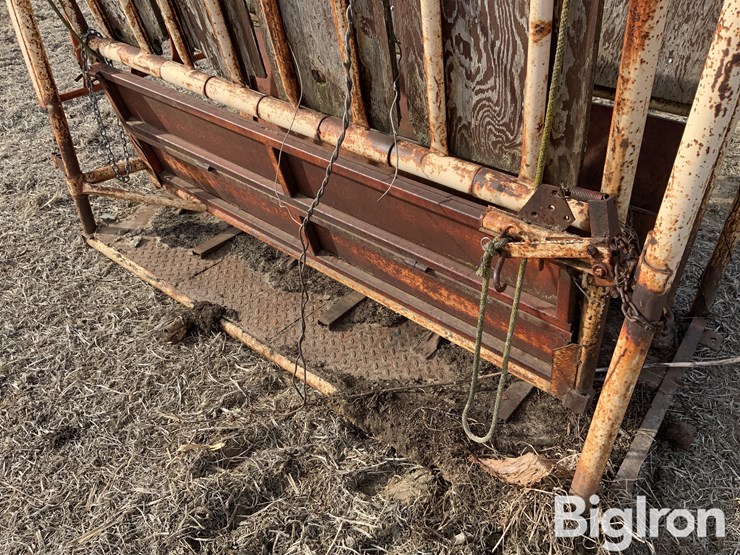 livestock-chute-image-18