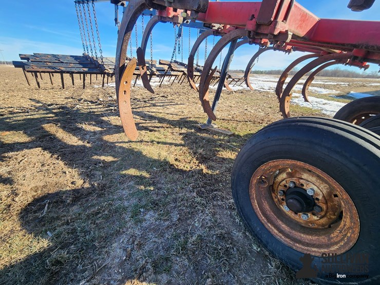 sunflower-4211-image-14