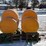 saddle-tanks-image-6