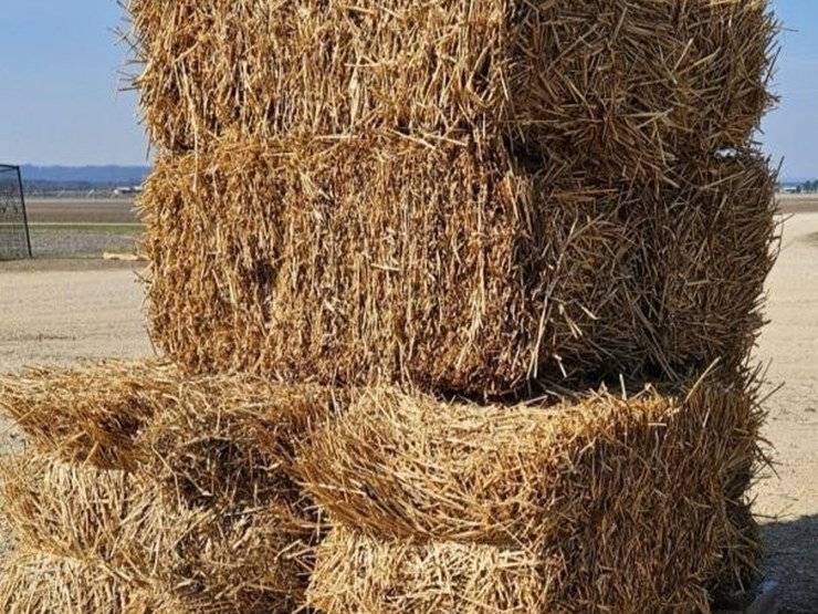 (10)-small-square-wheat-straw-bales---offsite-image-1