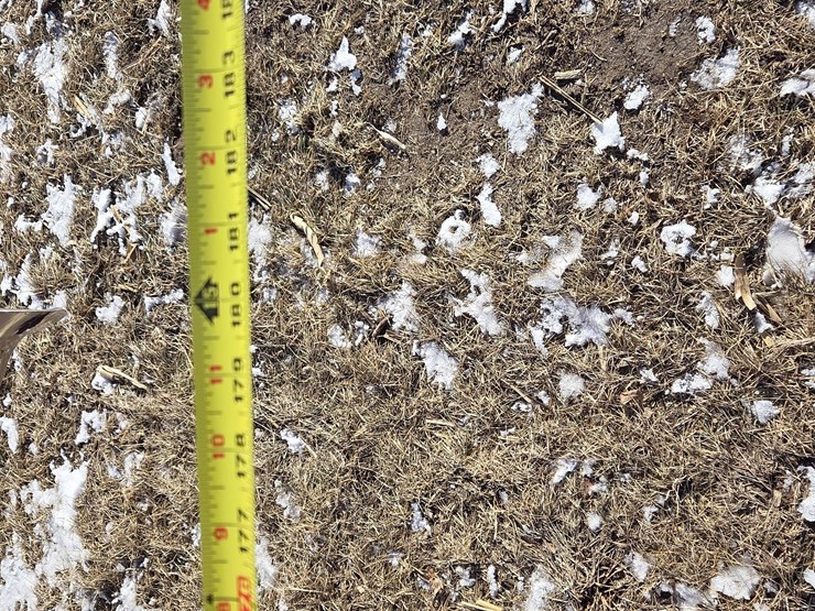 massey-ferguson-259-image-11