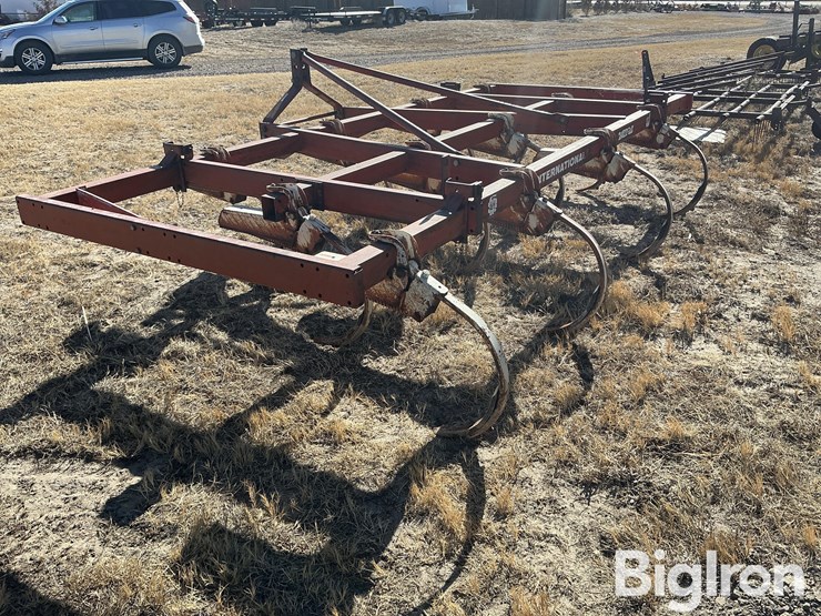 international-14-image-7