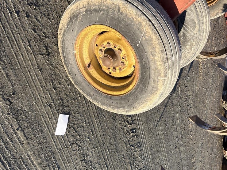 sunflower-4210-12-image-5