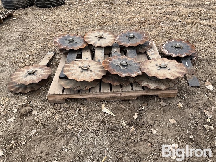 orthman-1tripr-image-6