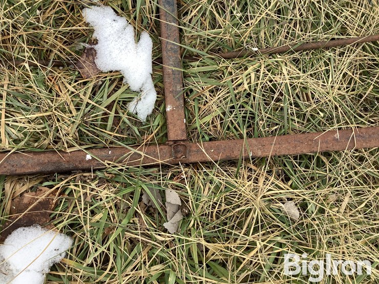 8'-bale-feed-ring-image-12