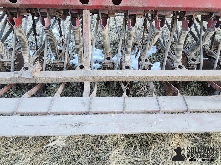 international-10-image-17