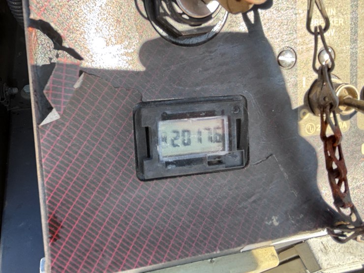 #3515-•-light-plant-image-6