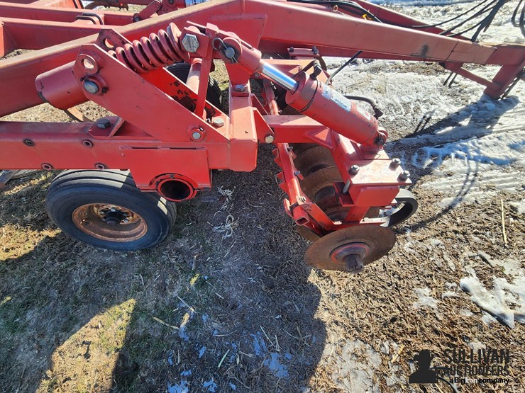 sunflower-4211-image-12