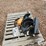 2025-wolverine-mad-12-12d-mini-skid-steer-post-hole-auger-attachment-image-7