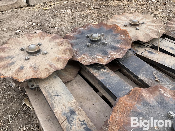 orthman-1tripr-image-14