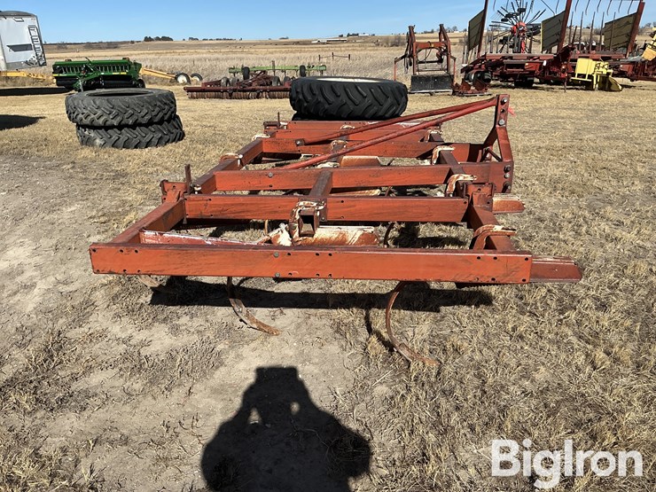 international-14-image-4