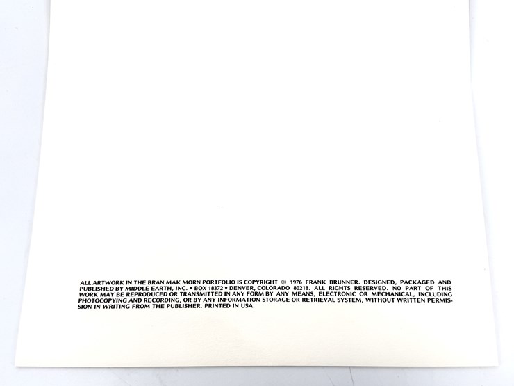 #1073-•-bran-mak-morn-portfolio-image-4