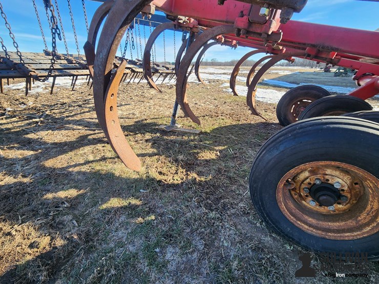 sunflower-4211-image-15