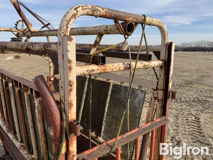 livestock-chute-image-11