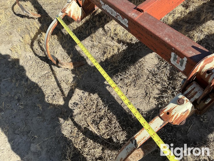 international-14-image-14