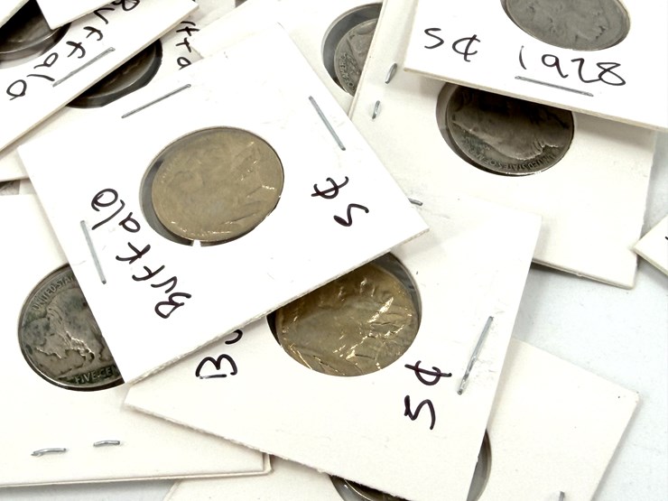 #24347-•-bag-of-indian-head-pennies-and-buffalo-nickles-image-3