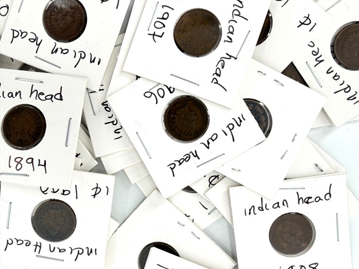#24346-•-bag-of-indian-head-pennies-and-buffalo-nickles-image-4