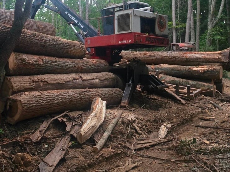 1999-prentice-210e-image-3