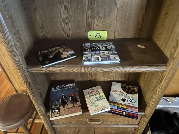 wooden-bookshelf-&-books-image-3