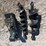 hydraulic-auger-bits-image-4