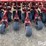 case-ih-5400-image-20